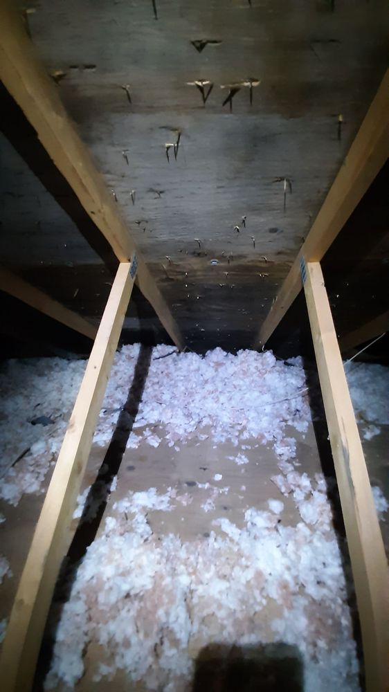 PurEnvironment - mold inspector in Spanaway, WA