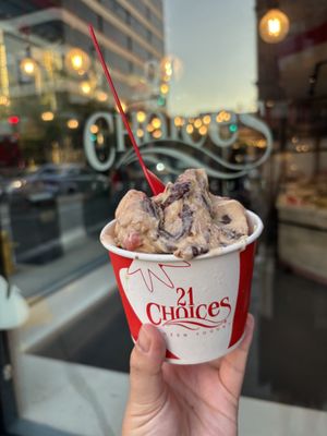 21 Choices Frozen Yogurt by null