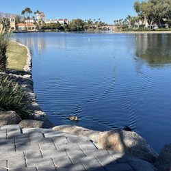 Lake Jacqueline - Lake Jacqueline is relaxing.