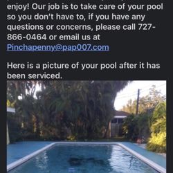 This is a ready to use pool? We do not own a skimmer, we have a pool company for a reason. It's leaves in a pool from wind.