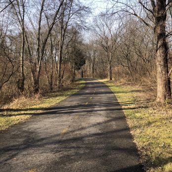 Walnut Woods Metro Park - Tall pines area - Parks Near Me - Groveport, Ohio Walnut Woods Metro Park - Tall pines area - Parks Near Me - Groveport, Ohio
