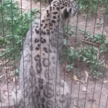 Memphis Zoo - Zoos Near Me - Memphis, Tennessee Memphis Zoo - Zoos Near Me - Memphis, Tennessee