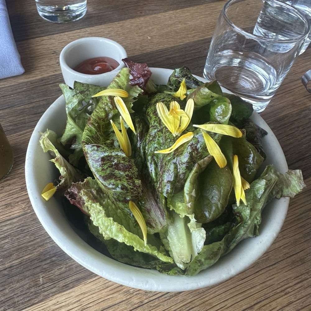 Plow - Simple Green Salad - Breakfast & Brunch Near Me - San Francisco, California Plow - Simple Green Salad - Breakfast & Brunch Near Me - San Francisco, California