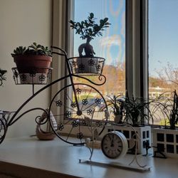 The Metta Center