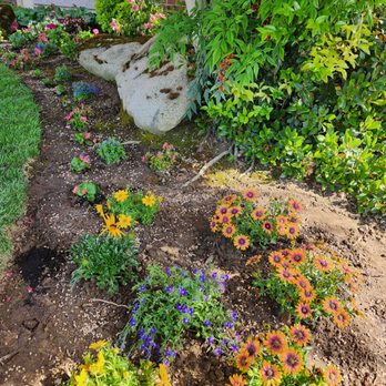 Longhorn Landscapes - Color adds lovely touches - Landscaping Near Me Longhorn Landscapes - Color adds lovely touches - Landscaping Near Me