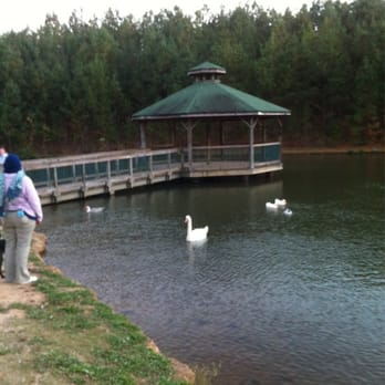 Mount Tabor Park - Swan and gazebo on lake. - Parks Near Me - Dallas, Georgia