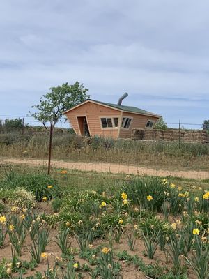 Amador Flower Farm by null