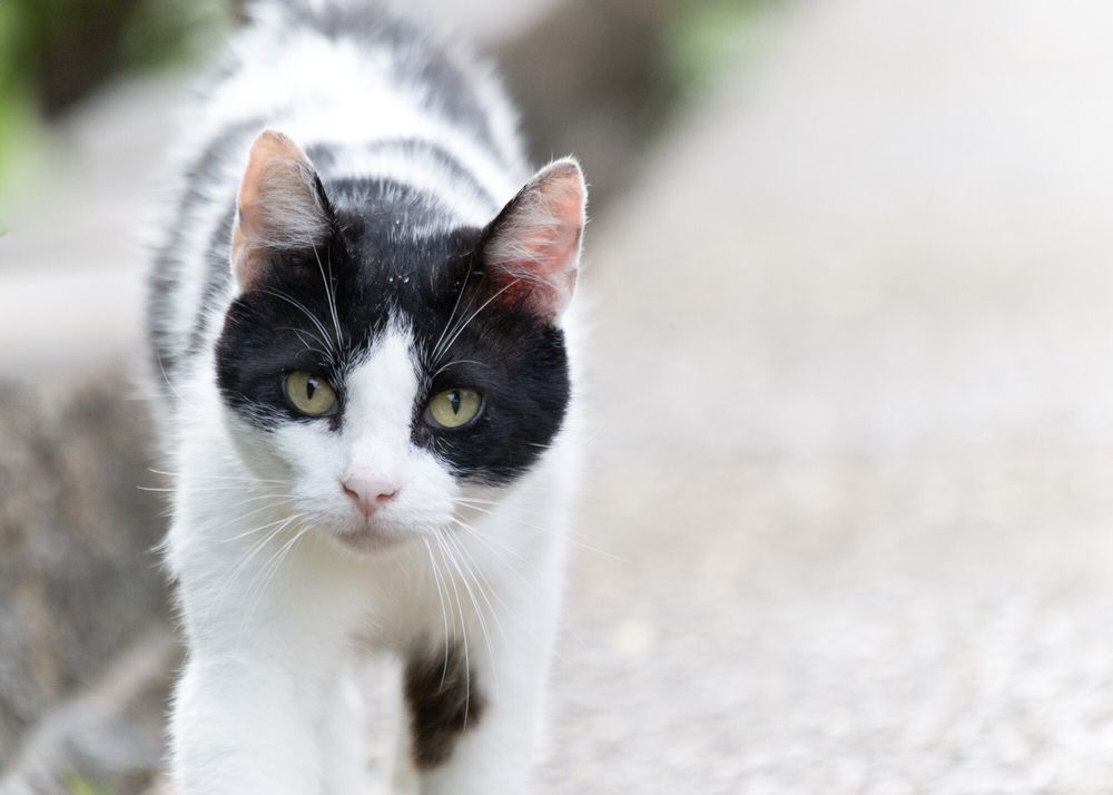 THE FARM CLOSED 77 Photos & 14 Reviews 450 Waterworks Rd