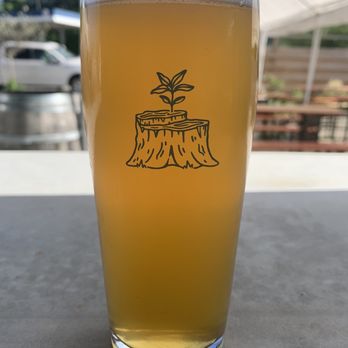 Cellarest Beer Project - Beer Gardens Near Me - Asheville, North Carolina Cellarest Beer Project - Beer Gardens Near Me - Asheville, North Carolina