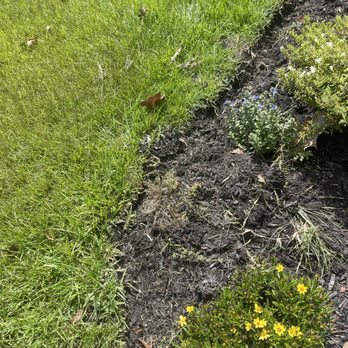 CSI Florida Landscaping - He said he would make the beds bigger he did niot. - Landscaping Near Me - Jacksonville, Florida CSI Florida Landscaping - He said he would make the beds bigger he did niot. - Landscaping Near Me - Jacksonville, Florida