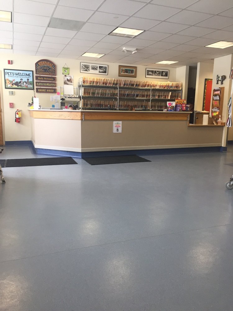 MILL PLAIN VETERINARY CLINIC & ANIMAL HOSPITAL Updated October 2024