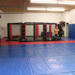 The Jiujitsu Academy of Southern Maryland