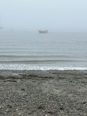 Willard Beach by null