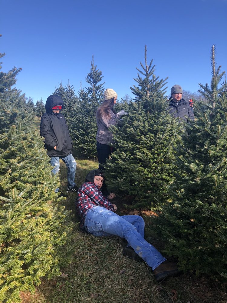 WHITE GATE CHRISTMAS TREE FARM 28 Ash St, West Newbury, Massachusetts