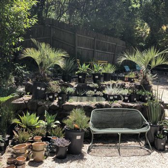Yarrow Nursery - Nurseries & Gardening Near Me - Oakland, California Yarrow Nursery - Nurseries & Gardening Near Me - Oakland, California