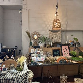 Black Phin - Plants and gifts for sale - Coffee & Tea Near Me - Orlando, Florida