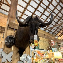 Barton Antique Mall - Buffalo