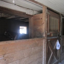 Country Meadows Equine - The stables