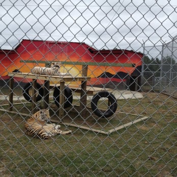 Aloha Safari Park - Zoos Near Me - Cameron, North Carolina Aloha Safari Park - Zoos Near Me - Cameron, North Carolina