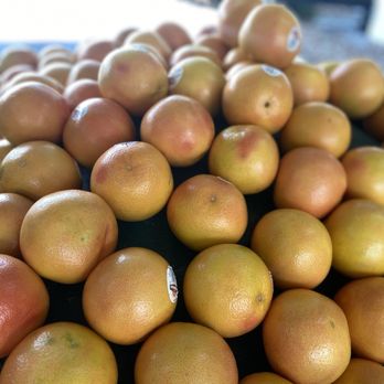 Ferris Groves - Grapefruit. - Fruits & Veggies Near Me - Floral City, Florida Ferris Groves - Grapefruit. - Fruits & Veggies Near Me - Floral City, Florida