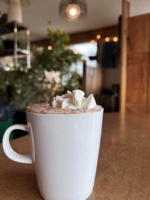 Green Salmon Coffee Company by null