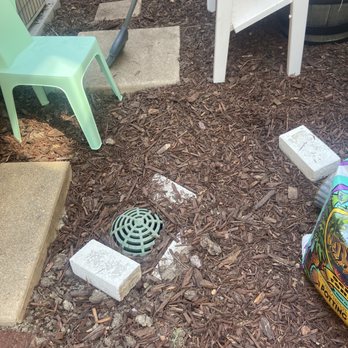 Compass Pest Management - They left my yard a disaster, this is after I moved around a lot of wood chips and tried to put it back together - Pest Control Near Me - Riverside, California