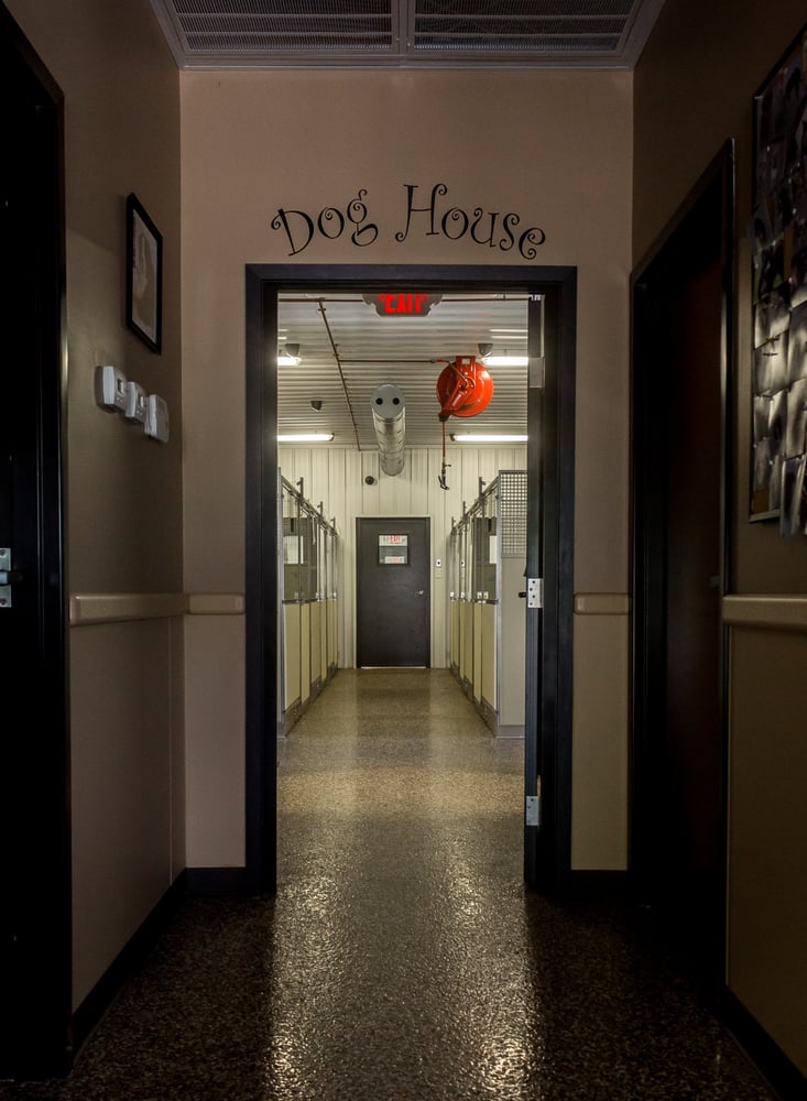 CANINE KENNELS OF CLARENCE Updated August 2024 13 Photos & 12