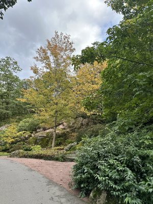 Gothenburg Botanical Garden by null