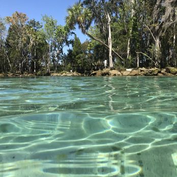 Three Sisters Springs - Tours Near Me - Crystal River, Florida Three Sisters Springs - Tours Near Me - Crystal River, Florida