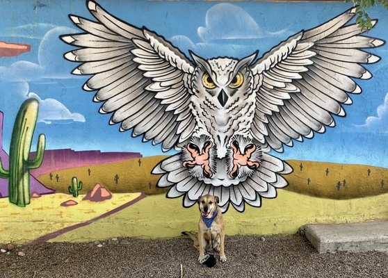 The Owl Bar & Cafe by null