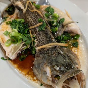 Golden Bull Restaurant - Seabass - Seafood Near Me - Chicago, Illinois Golden Bull Restaurant - Seabass - Seafood Near Me - Chicago, Illinois