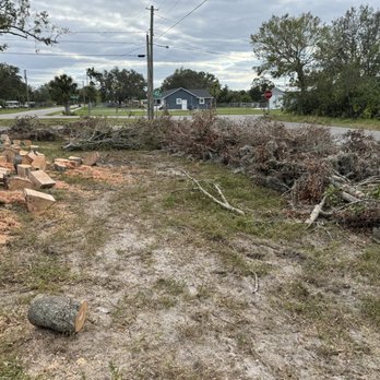 Stumped Tree Service - Debris ready for removal - Tree Services Near Me Stumped Tree Service - Debris ready for removal - Tree Services Near Me