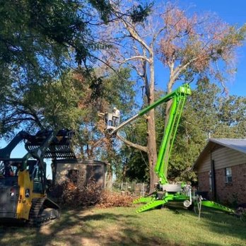 Rockin' A Timber - Tree Services Near Me - Canton, Texas Rockin' A Timber - Tree Services Near Me - Canton, Texas
