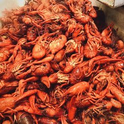 D & T Crawfish