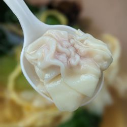 Zheng's Juicy Fried Buns