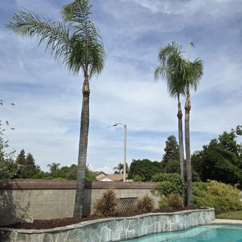 Garibay's Tree Service - Tree Services Near Me Garibay's Tree Service - Tree Services Near Me