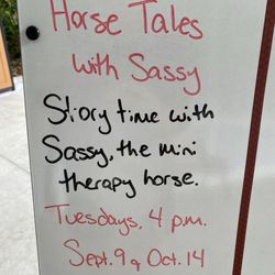 Dunnellon Public Library