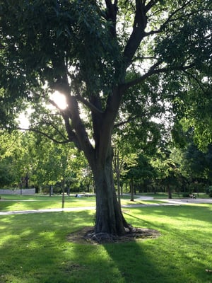 Parc Jourdan by null