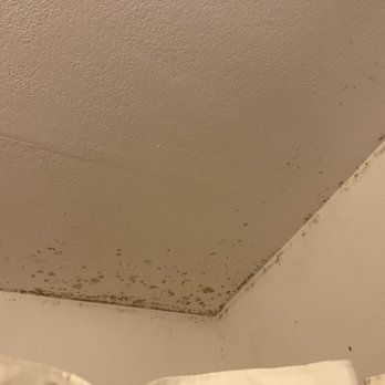 Motel 6 - Mold in the bathroom. - Hotels Near Me - Enfield, Connecticut Motel 6 - Mold in the bathroom. - Hotels Near Me - Enfield, Connecticut
