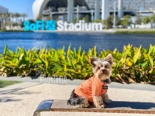 SoFi Stadium by null