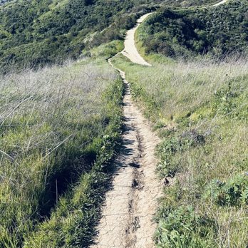 Hellman Park - View from the top of the hill. - Parks Near Me - Whittier, California