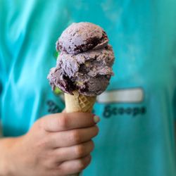 Willard Scoops - Blueberry Cheesecake on a Sugar Cone!