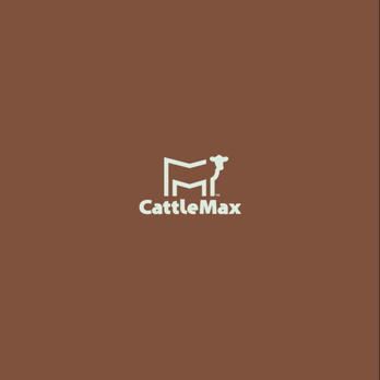 Mitch Logo - Logo for the leader in tracking software used by the beef cattle industry. - Graphic Design Near Me Mitch Logo - Logo for the leader in tracking software used by the beef cattle industry. - Graphic Design Near Me