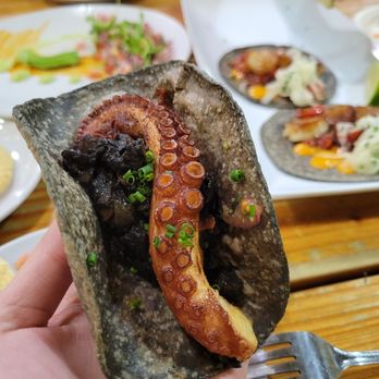 Holbox - octopus taco - Latin American Near Me - Los Angeles, California