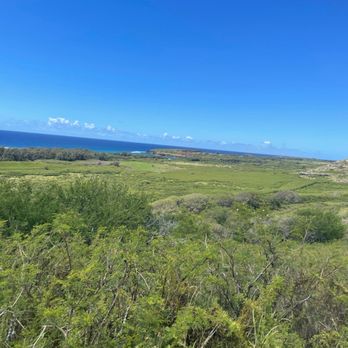 CJM Stables - Horseback Riding Near Me