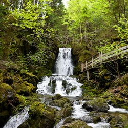 Fundy National Park - Dickson Falls Trail.