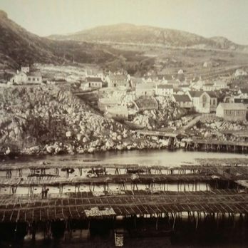 Petty Harbour Mini Aquarium - Old photo Petty Harbor late 1800's - Aquariums Near Me - Petty Harbour, Newfoundland and Labrador