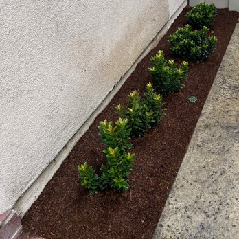 Lytle Landscape Construction - Landscaping Near Me Lytle Landscape Construction - Landscaping Near Me