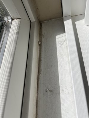 Andersen Windows by null