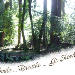Nancy Lowrie and Associates